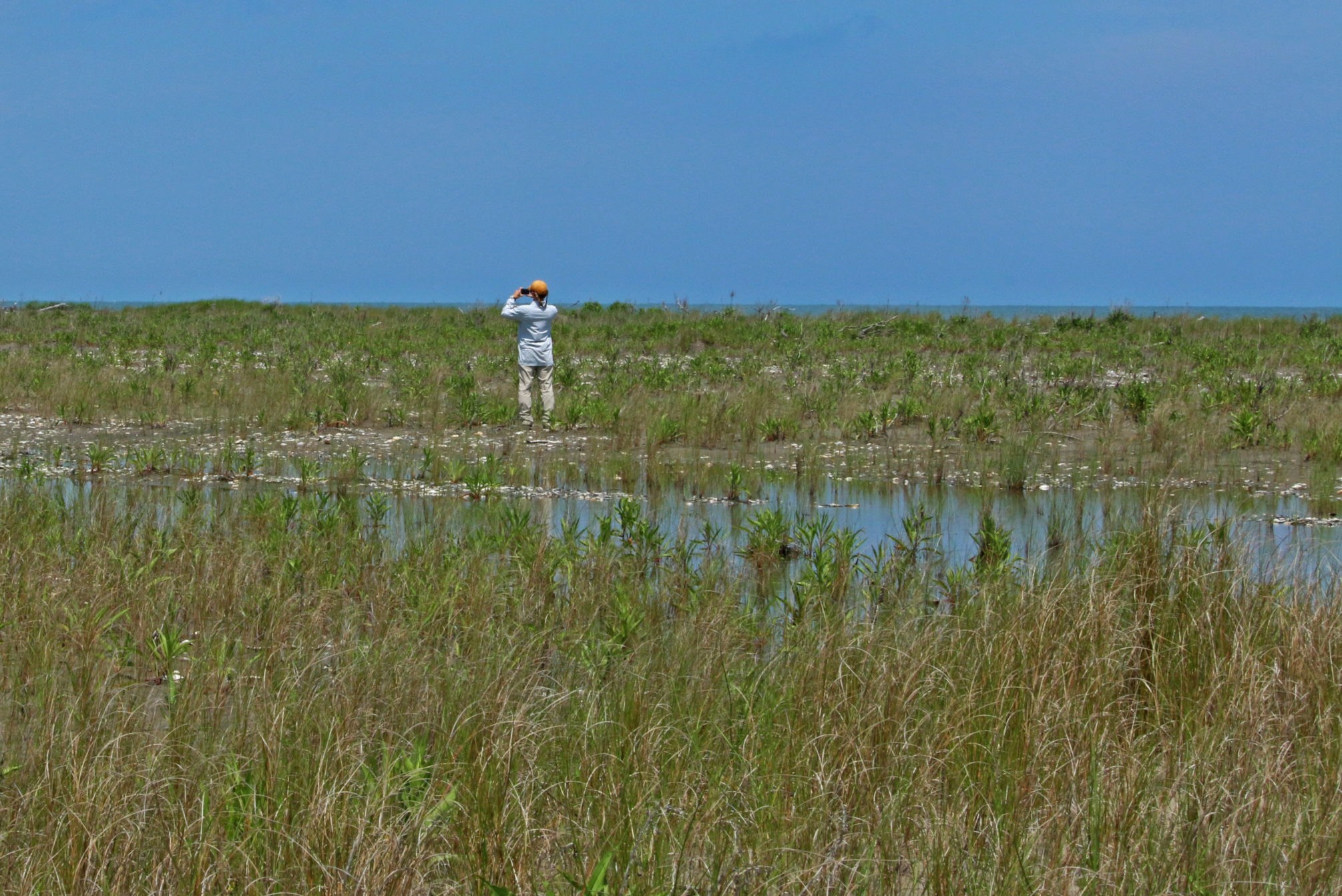 PhD researcher Joe Brown looking out over a barrier island in the Virginia Coast Reserve.