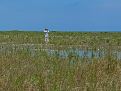 PhD researcher Joe Brown looking out over a barrier island in the Virginia Coast Reserve.