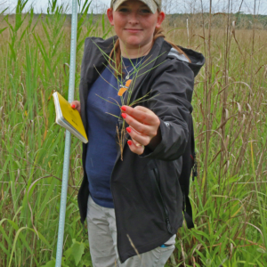PhD student Victoria Long displaying one of the plant species at her study site along Virginia's Eastern Shore, where salt marsh is starting to expand into agricultural fields.