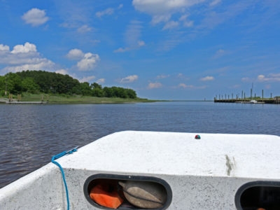 View from a VCR LTER research boat cruising along estuaries where seagrass restoration projects are underway.