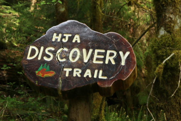The Andrews Discovery Trail trail entrance.