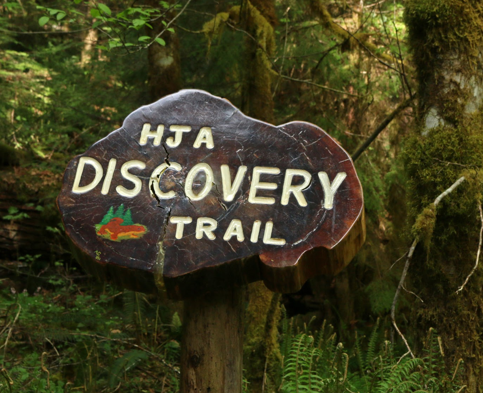 The Andrews Discovery Trail trail entrance.