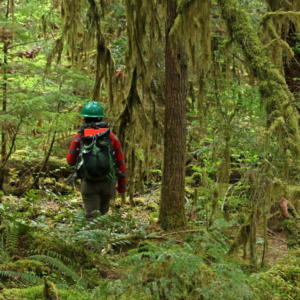 Researcher Marie Tosa hikes to her camera trap.