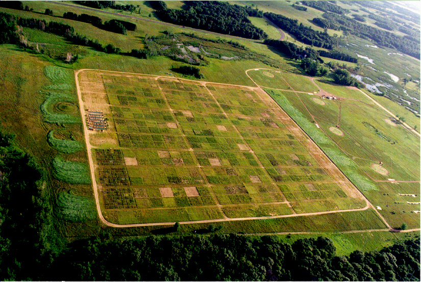 An aerial view of the Big Bio experimental plots.