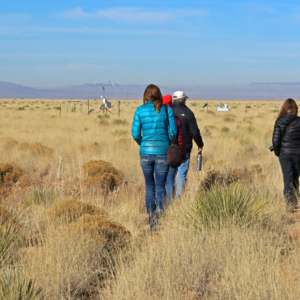 Researchers walk across the Sevilleta grassland.