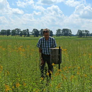 KBS7 Dr. Haddad looks at a bee box.