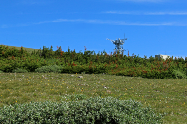 An eddy flux tower on top of Niwot Ridge.
