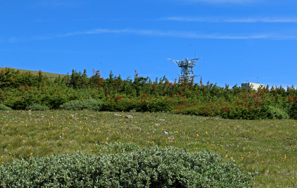 An eddy flux tower on top of Niwot Ridge.