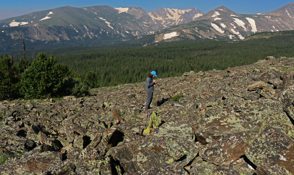 Ashley Whipple studies pika in the Colorado mountains.