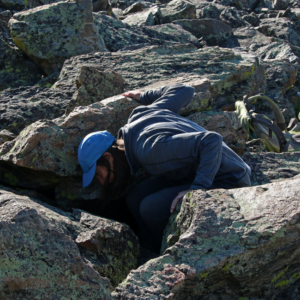 Niwot7 Looking for signs of pika among the rocks.