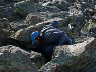 Looking for signs of pika among the rocks.