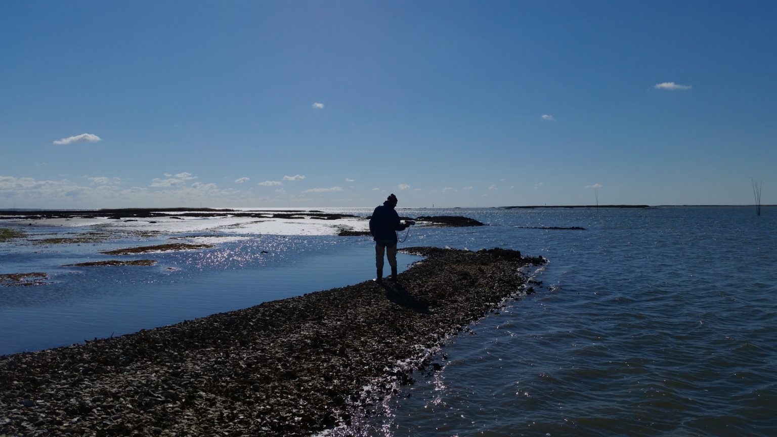 Recording above water sounds of an oyster reef. Photo: Cora Ann Johnston