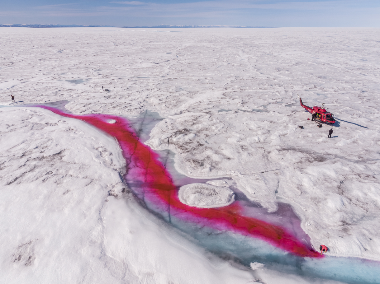 Celia Trunz and Jason Gulley conducting melt water flow experiment on the surface of the Greenland Ice Sheet. Gulley is seen at the mouth of the moulin which transports surface water to the bottom of the glacier, while Trunz adds Rhodamine WT, a fluorescent dye used by hydrologists to study flow dynamics.