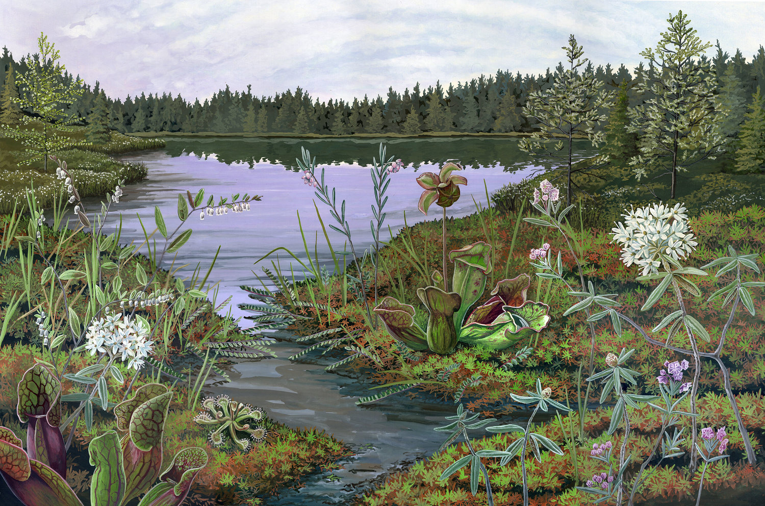 Crystal Bog by Jessica Jabs, 2017 Drawing Water Resident