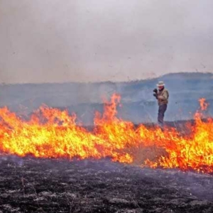 Photographer Edward Sturr documenting a controlled burn. Photo: Elizabeth Dodd