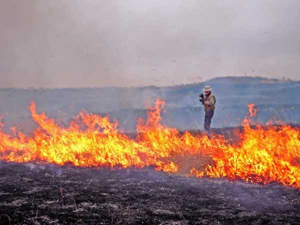 Photographer Edward Sturr documenting a controlled burn. Photo: Elizabeth Dodd