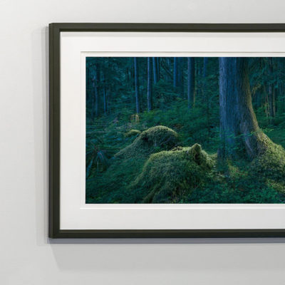 Arts and Humanities Working Group: David Paul Bayles and Fred Swanson