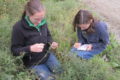 Dr. Katie Spellman with tech Patricia Hurtt collecting data at a disturbed site.