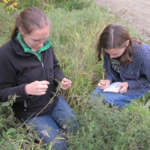 Dr. Katie Spellman with tech Patricia Hurtt collecting data at a disturbed site.