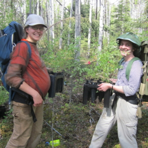Dr. Christa Mulder and Dr. Katie Spellman removing non-native Melilotus albus plants.