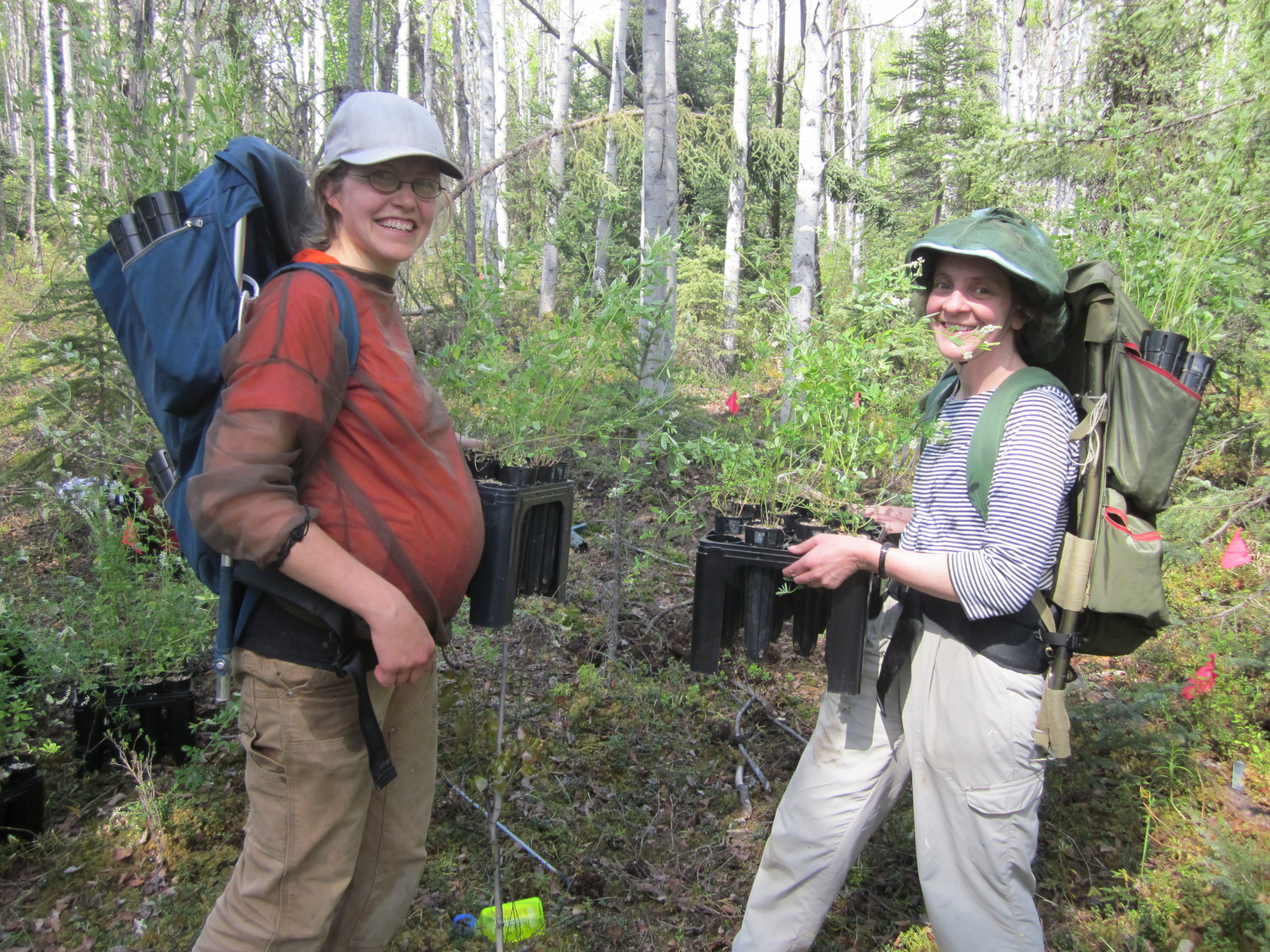 Dr. Christa Mulder and Dr. Katie Spellman removing non-native Melilotus albus plants.