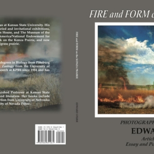Fire and Form cover