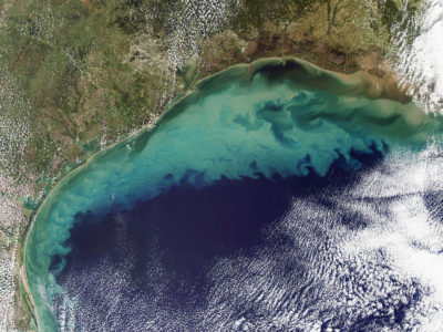 satellite view of gulf of mexico dead zone