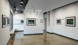 Gallery shot of work by photographer and essayist David Paul Bayles in collaboration with researchers at AND LTER.