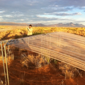 JRN LTER researchers prepare a precipitation addition/reduction experiment.