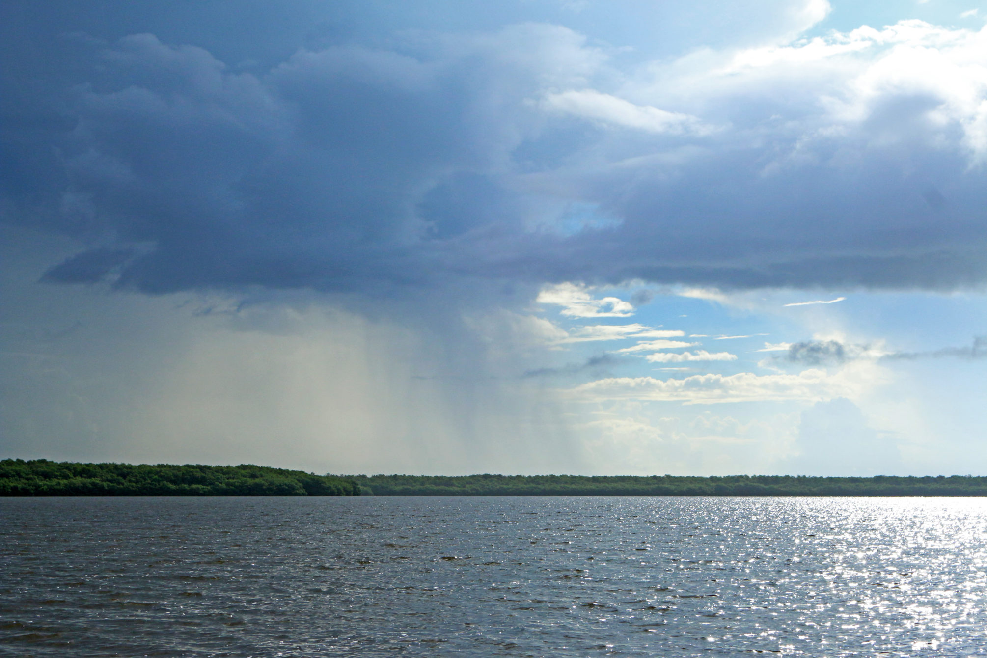 Florida Coastal Everglades LTER site, part of Everglades National park