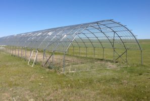 clear corrugated panels exclude precipitation from a grassland