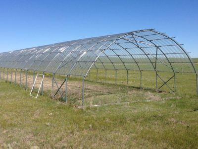 clear corrugated panels exclude precipitation from a grassland