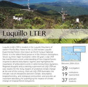 Luquillo LTER site brief 2019