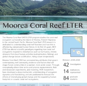 Moorea Coral Reef LTER site brief 2019