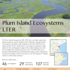 Plum Island Ecosystem LTER site brief