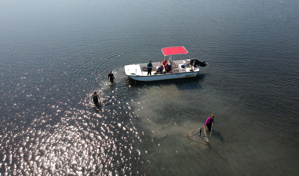 drone view of researchers using eddy covariance system to measure seagrass metabolism.