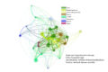 network analysis, based on site age, ecosystem type, number of shared publications and network centrality