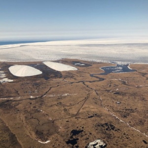 water-pocked landscape of coastal tundra