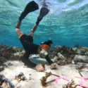 LTER Road Trip: Fishing for Answers in Moorea’s Coral Reefs