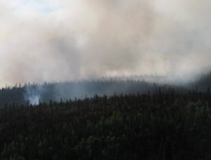 Smoke from a forest fire in an Alaskan boreal forest near Bonanza Creek LTER