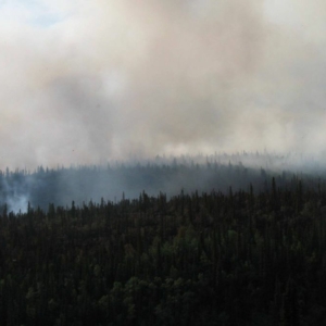 Smoke from a forest fire in an Alaskan boreal forest near Bonanza Creek LTER