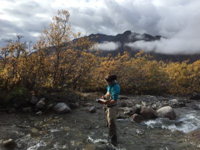 Streams LTER Research Assistant Frances Iannucci (a coauthor on the study) recording dissolved oxygen in a watershed associated with the Arctic LTER.