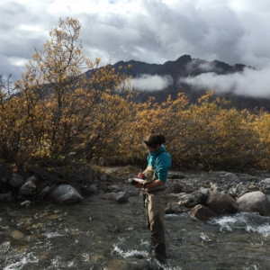 Streams LTER Research Assistant Frances Iannucci (a coauthor on the study) recording dissolved oxygen in a watershed associated with the Arctic LTER.