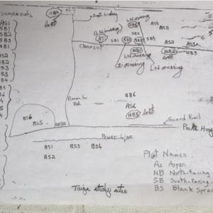 Terry Chapin’s hand drawn map of the 1988 field sites. Sampling these sites this year became much faster with the aid of GPS coordinates and digital maps.