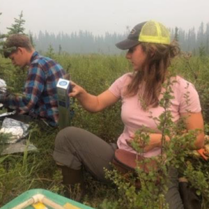Emilia and her field tech, Elliot, in the field sampling black spruce forest fuel loads at Bonanza Creek LTER in Alaska.