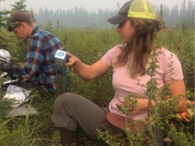 Emilia and her field tech, Elliot, in the field sampling black spruce forest fuel loads at Bonanza Creek LTER in Alaska.
