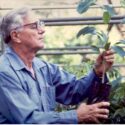 Remembering Dr. Frank H. Wadsworth, founder of the Luquillo LTER