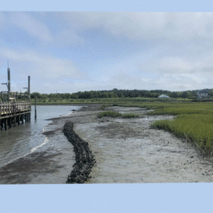A timelase of an oyster reef at the Virginia Coast Reserve. The reef, a long s-shaped structure rising from a muddy marsh, is continually submerged as the tide rises and appears as the tide lowers. A dock bobs in the left of the frame, and grasses are close on the right.