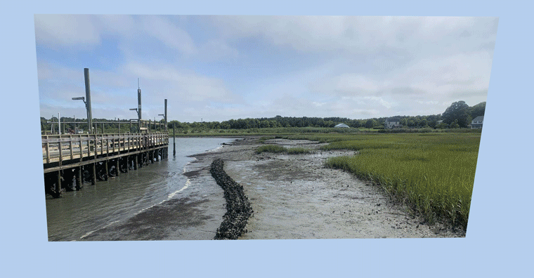 A timelase of an oyster reef at the Virginia Coast Reserve. The reef, a long s-shaped structure rising from a muddy marsh, is continually submerged as the tide rises and appears as the tide lowers. A dock bobs in the left of the frame, and grasses are close on the right.