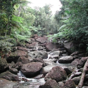 A shallow stream runs through red rocks amid a